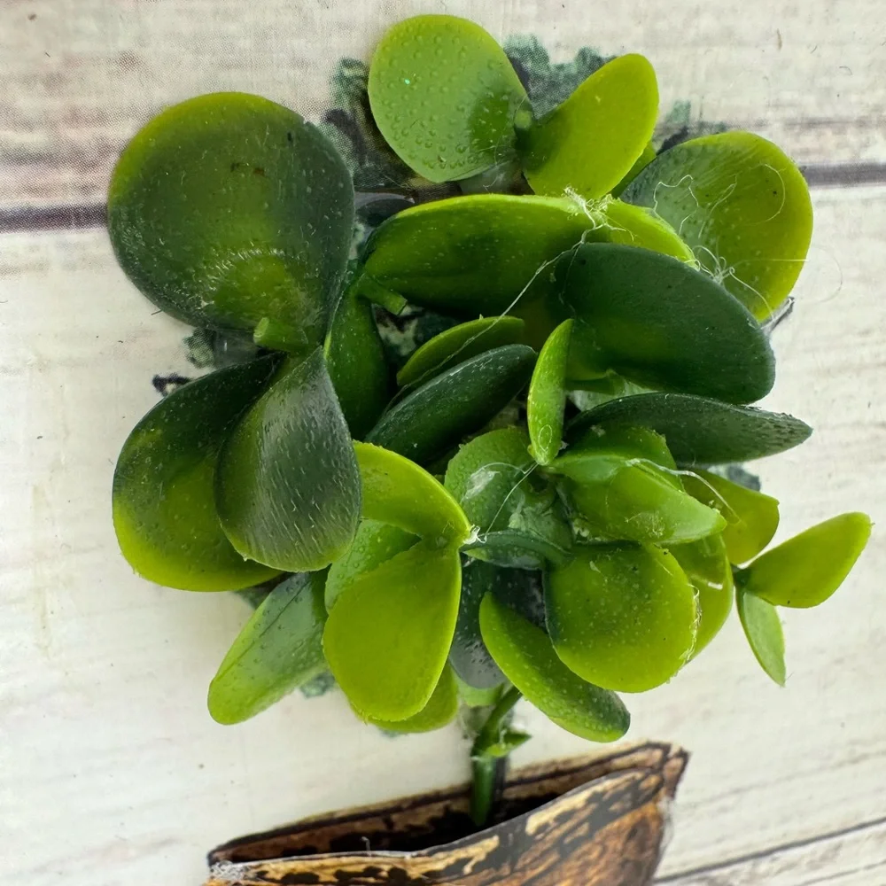 New 3D Handmade Garden Decor with Potted Plants